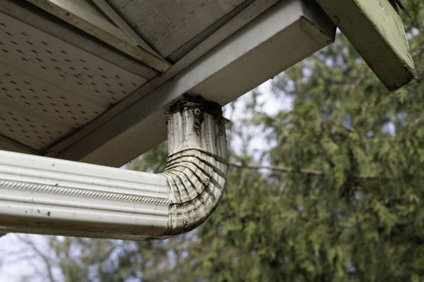 Professional Downspout Cleaning