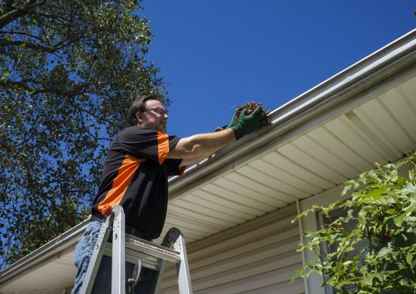 Professional Building Gutter Cleaning