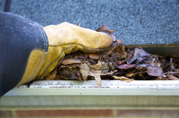 Professional Jammed Gutter Cleaning