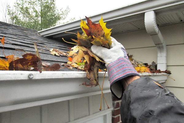 Professional Gutter Blockage Removal