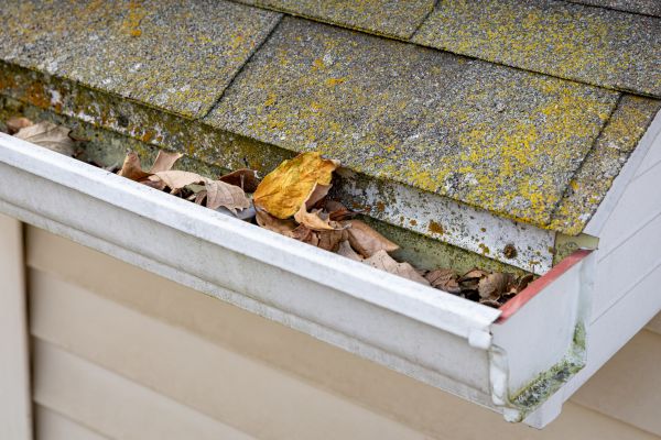 Professional Garage Gutter Cleaning